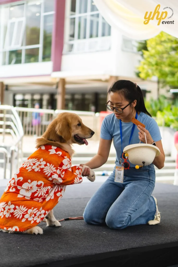 A golden retriever pet in a bright orange floral Hawaiian shirt shaking hands with its owner