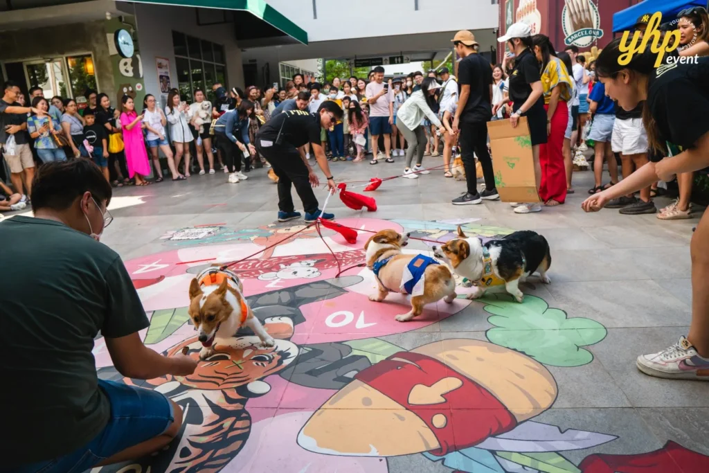 Dogs and owners participating in a group activity