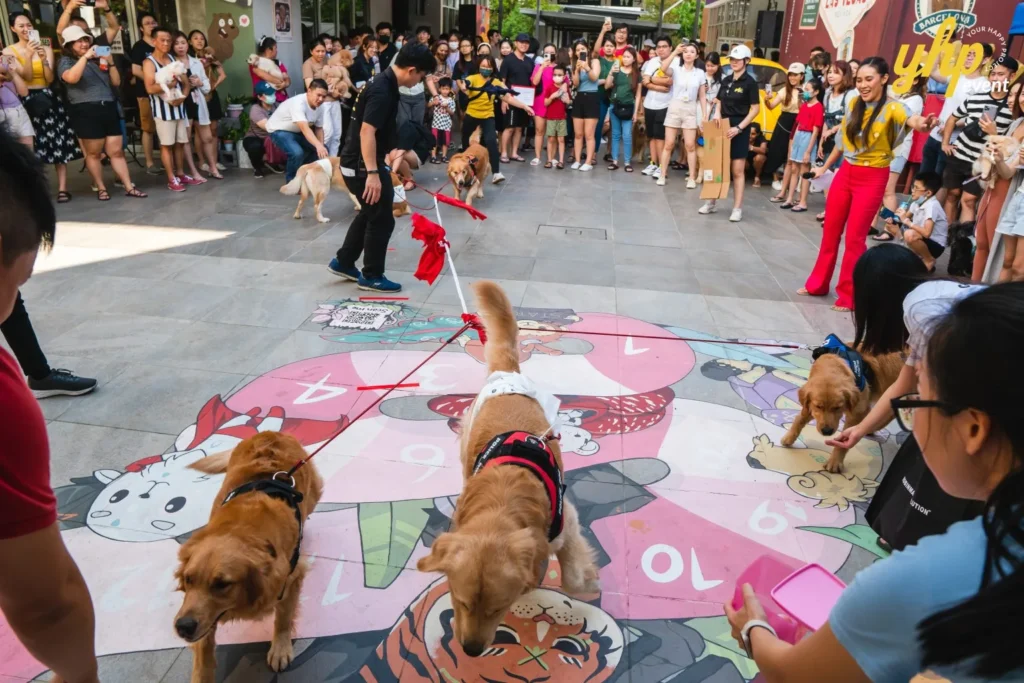Golden Retrievers participating in a fun competition at a pet event with a large crowd of spectators