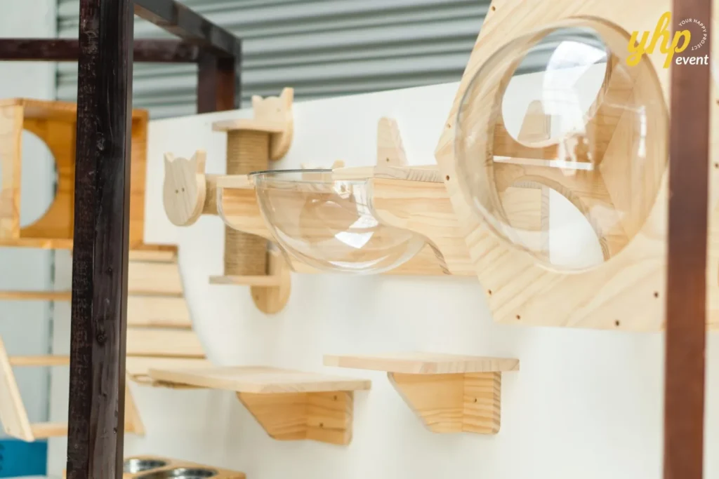 Modern wooden cat wall shelves and clear bubble beds on display for sale